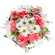 This bouquet radiates a sense of joy and renewal, perfectly crafted by local Malden Rushett florists to capture the spirit of the area's verdant landscapes. Viewed from above on a pure white background, vibrant coral carnations unfurl amidst clusters of bright white daisies with luminous green centres. Wispy sprays of baby's breath, delicate and light, sweep across the display like mist over Horton Country Park, imparting softness and subtle movement. Just beneath the main blooms, alstroemeria buds with graceful purple streaks suggest unfolding surprises and upcoming beauty, nestled against a tapestry of eucalyptus and rich green leaves. The floral arrangement, structured in a measured, circular form, balances exuberance with calming verdure-mirroring the tranquil yet lively atmosphere of Malden Rushett's leafy lanes. Every element blends to create a harmonious, textured bouquet fit for celebrating anniversaries, welcoming spring, or sending a heartfelt message across the community. Freshness and thoughtful artistry shine throughout, making this arrangement an ideal centrepiece or gift for anyone seeking to share a bit of Malden Rushett's natural beauty and warmth.
